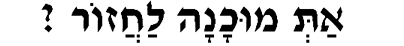 shalom